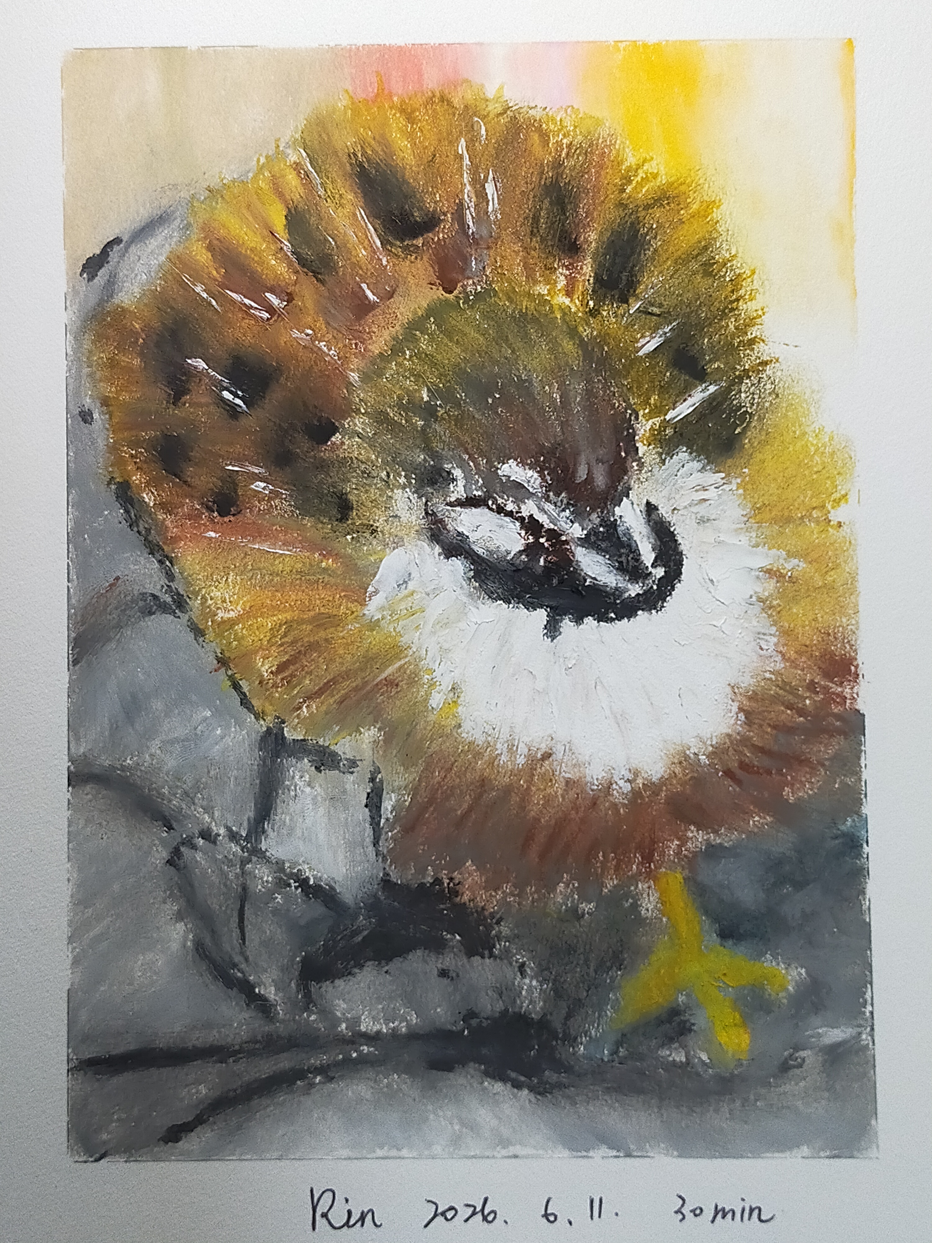 20260612 Oil Pastels Bibi
