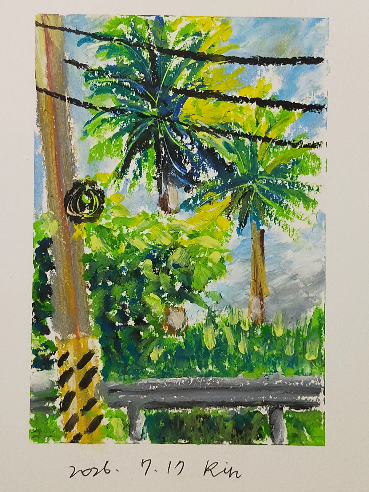 Greenery. 補充圖片