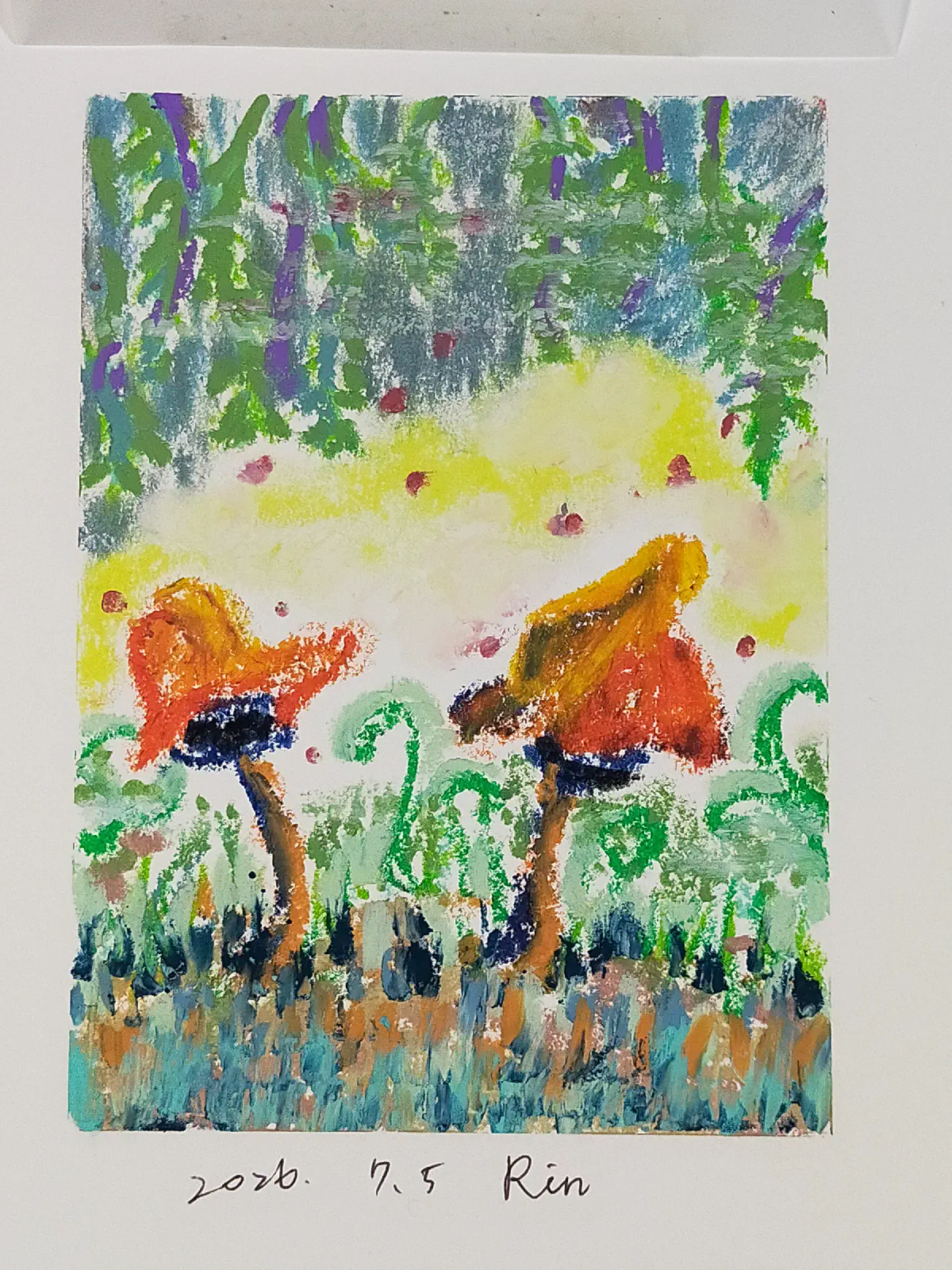 Short mushrooms. 補充圖片