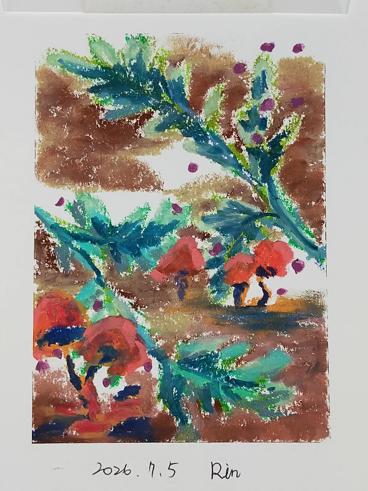 The mushrooms grow with ferns. 補充圖片